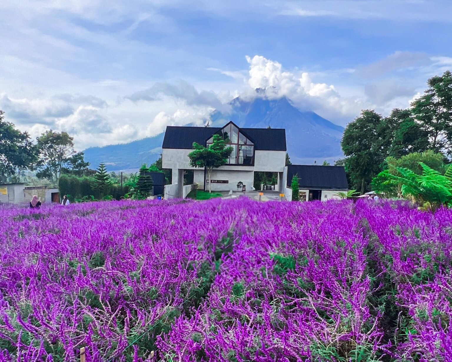 Sarune Coffee & Eatery: A Scenic Retreat in North Sumatra